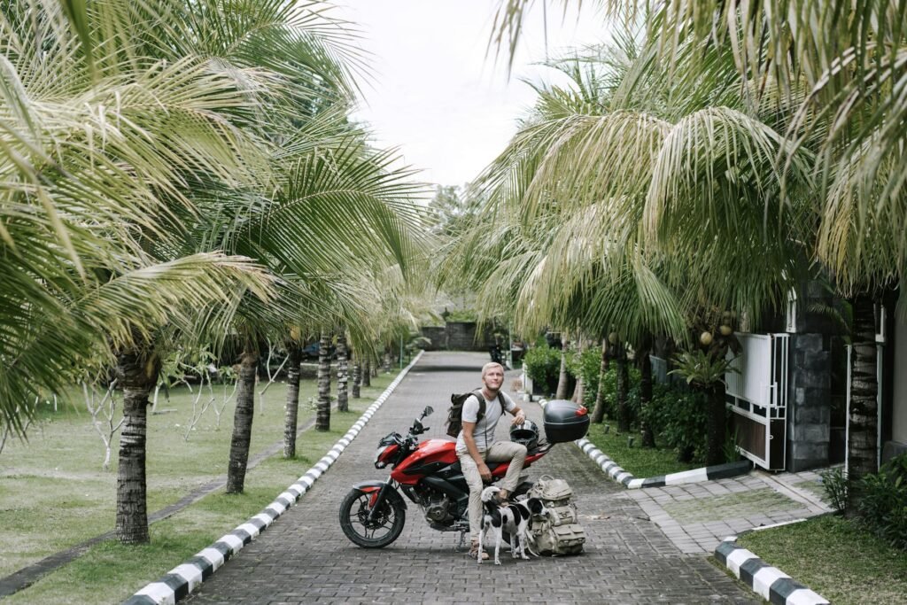 Traveler with motorcycle and dogs resting on a tropical pathway under palm trees.