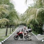 Traveler with motorcycle and dogs resting on a tropical pathway under palm trees.